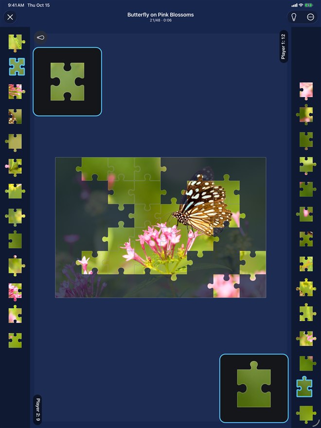 English iPad capture of Duo mode with two opposing piece trays and a shared butterfly puzzle